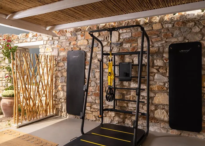 Votsalo - Semi Based Studio With Indoor Garden - Part Of White Dunes Luxury Boutique Hotel Naoussa