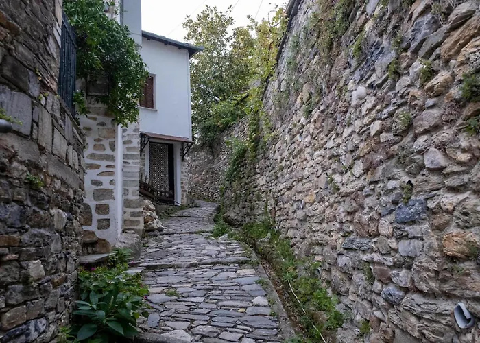 Archontiko Michael Pelion Aparthotel Βυζίτσα