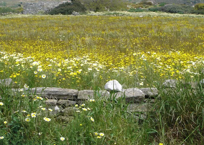 Panorama Hotel Naxos City