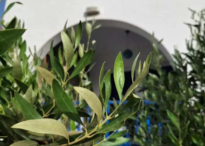 Εvi Evan Hotel Γαλησσάς