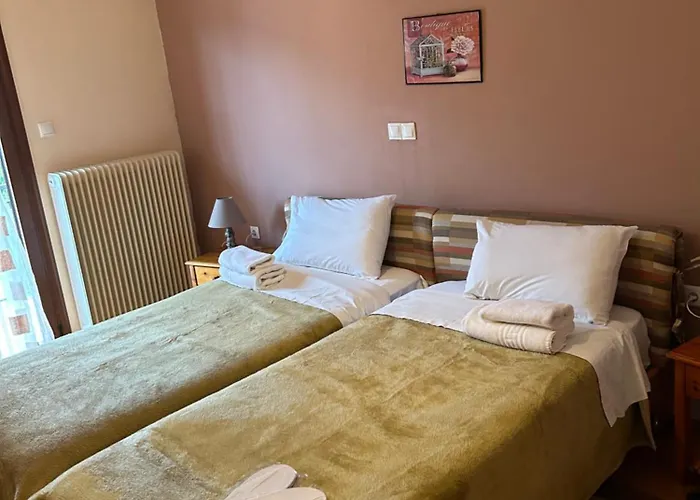 Hotel Aoos Κόνιτσα