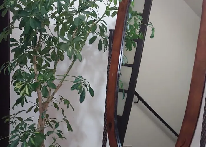 Ξενοδοχείο Άλκηστις Πορταριά