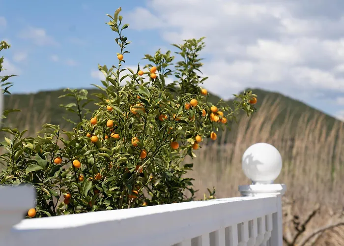 Hotel Alexandros Αμμουδιά