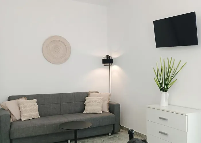 Pet friendly Apanema Paros Apartment Naousa 
