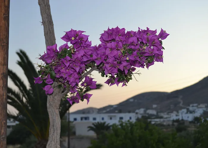 Brother'S Hotel Chora 