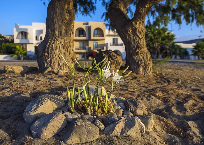 Hotel a Kardamena (Kos)