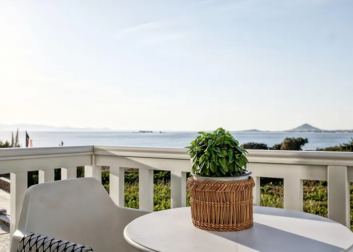 Orkos Beach Hotel Μικρή Βίγλα