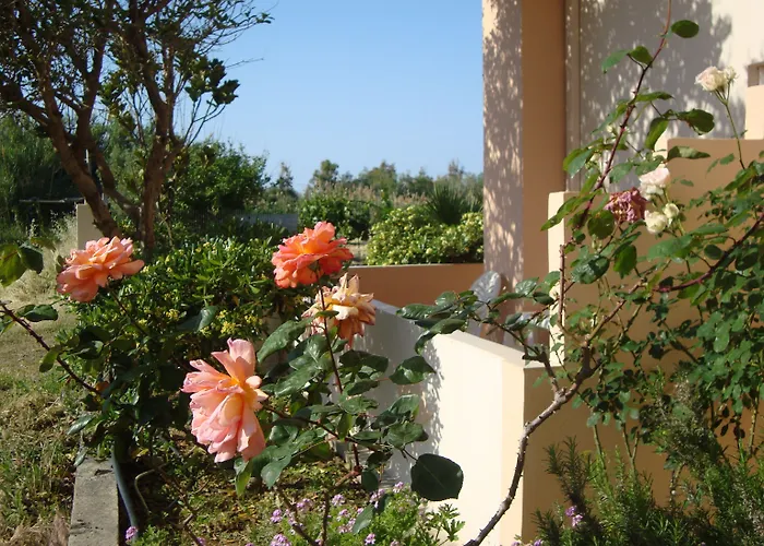 Hotel Athina Retimno