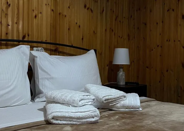 Hotel Acropolis Μέτσοβο