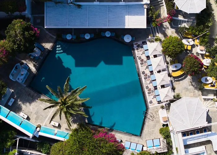 Pet friendly Belvedere Mykonos - Main Hotel - The Leading Hotels Of The World Mykonos Town