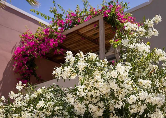 Rose Bay Hotel Kamari 