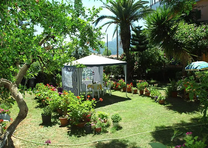 Homer Studio Νυδρί