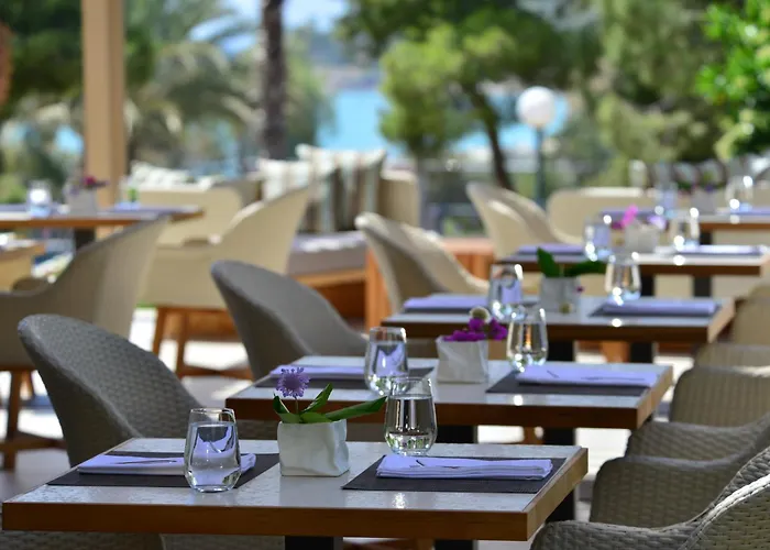 Somewhere Vouliagmeni Atenas que aceita animais de estimação