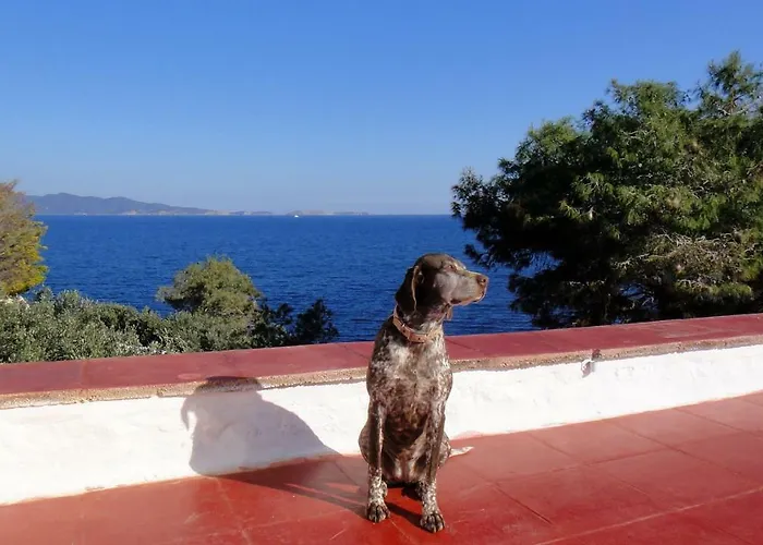 Tramontana Villa Hydra 